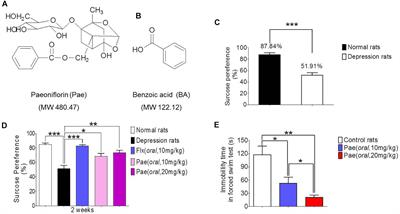 Gut Microbiota-Based Pharmacokinetics and the Antidepressant Mechanism of Paeoniflorin